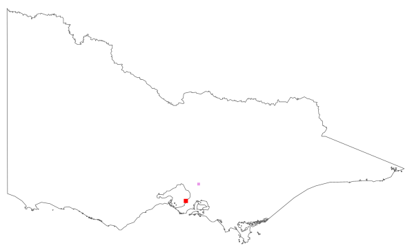 Watsonia marginata (distribution map)