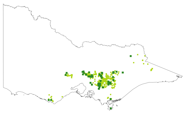 Pultenaea muelleri (distribution map)