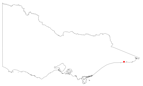 Hibbertia torulosa (distribution map)
