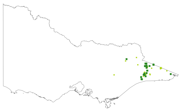 Australopyrum retrofractum (distribution map)