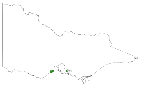 Thelymitra pallidiflora (distribution map)