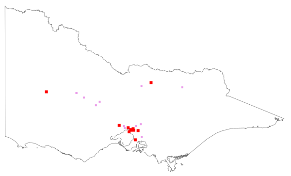 Phalaris canariensis (distribution map)