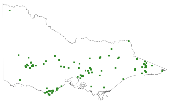Rosulabryum billarderii (distribution map)