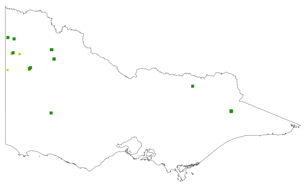 Pultenaea densifolia (distribution map)