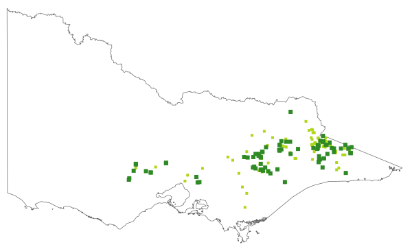 Festuca asperula (distribution map)