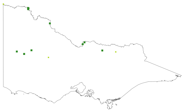 Cyperus victoriensis (distribution map)