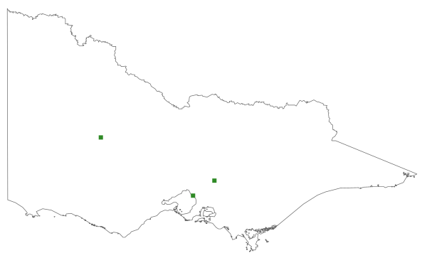 Caladenia leptochila subsp. leptochila (distribution map)