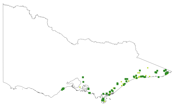 Caladenia tessellata (distribution map)