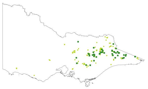 Epilobium billardiereanum subsp. hydrophilum (distribution map)