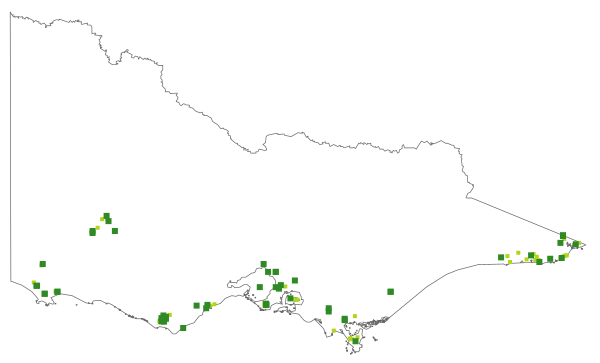 Schizaea fistulosa (distribution map)