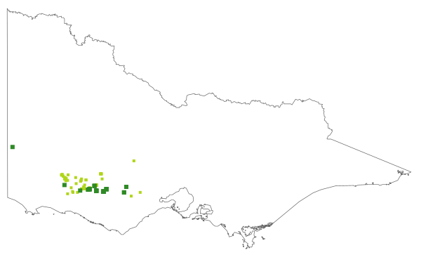Diuris gregaria (distribution map)