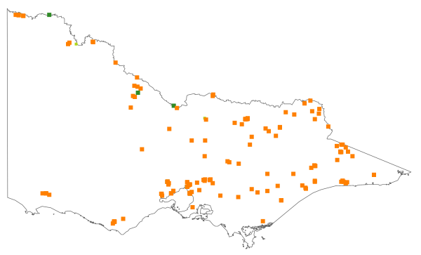 Persicaria lapathifolia (distribution map)