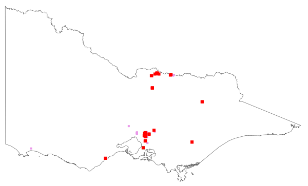 Egeria densa (distribution map)