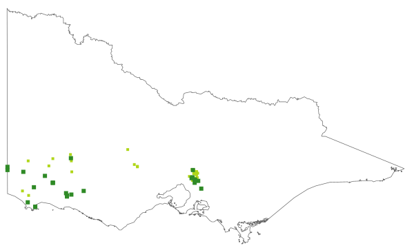 Levenhookia sonderi (distribution map)
