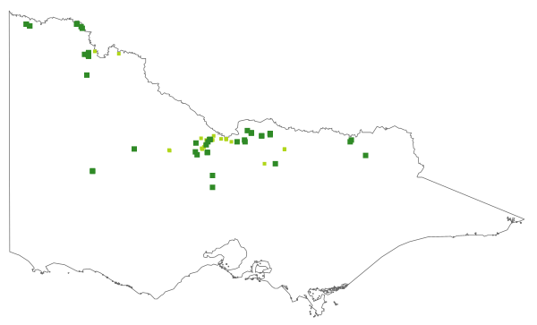 Swainsona sericea (distribution map)