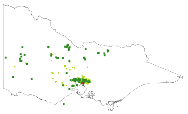 Correa glabra (distribution map)