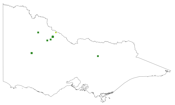 Goodenia lunata (distribution map)
