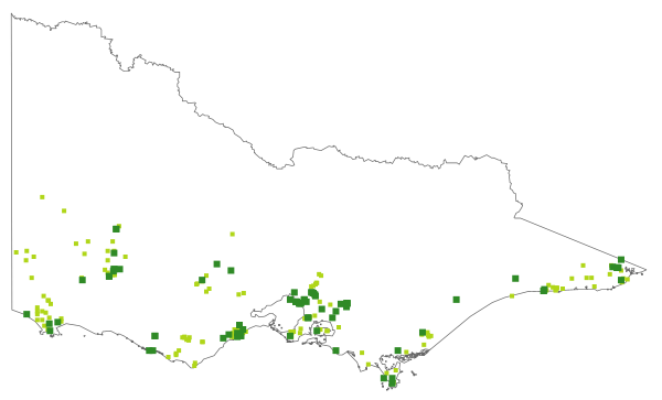 Thelymitra flexuosa (distribution map)