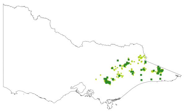 Acrothamnus maccraei (distribution map)