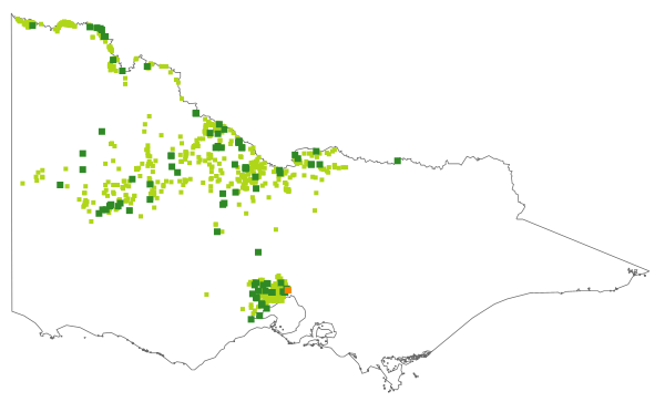 Maireana decalvans (distribution map)