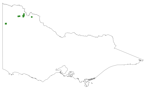 Pimelea williamsonii (distribution map)