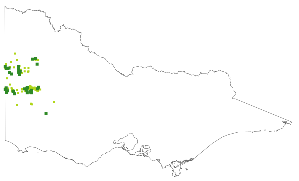 Leucopogon costatus (distribution map)