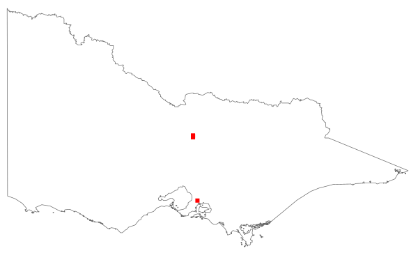 Gymnocoronis spilanthoides (distribution map)
