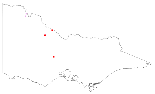 Iva axillaris (distribution map)