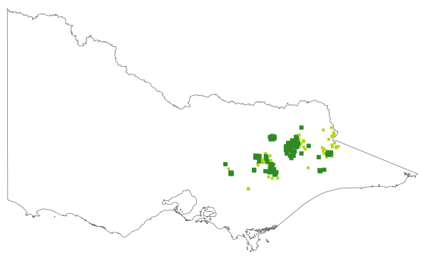 Hovea montana (distribution map)