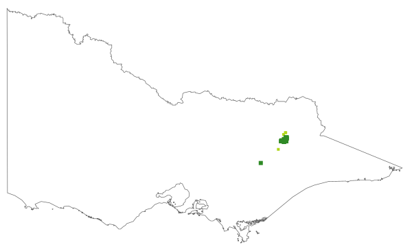 Argyrotegium nitidulum (distribution map)