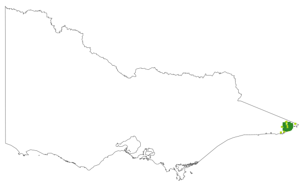 Cyathochaeta diandra (distribution map)