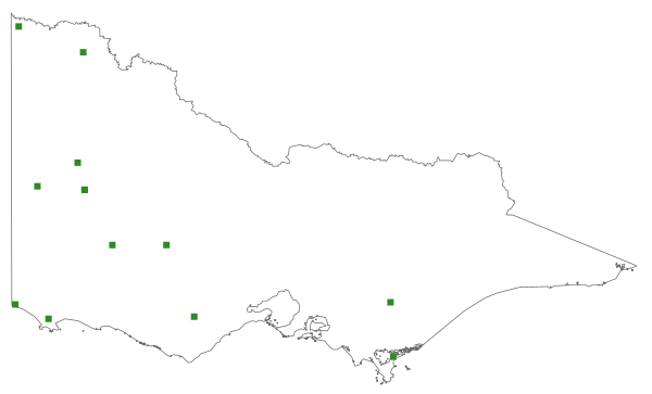 Crassula colligata subsp. lamprosperma (distribution map)
