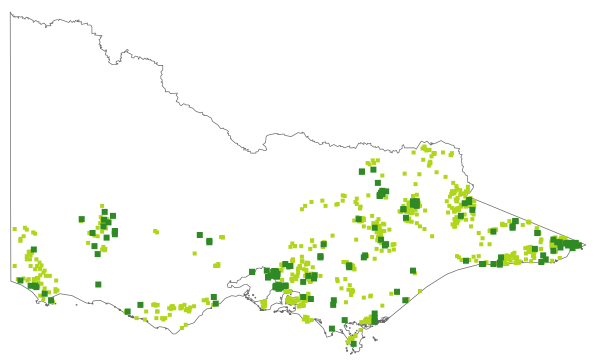 Gonocarpus micranthus subsp. micranthus (distribution map)