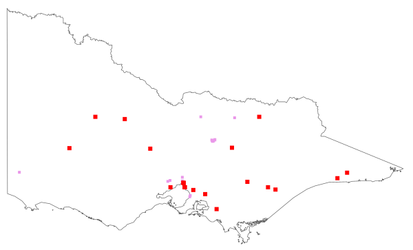 Setaria viridis (distribution map)