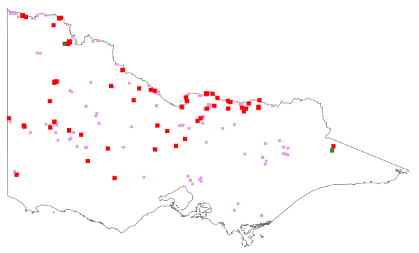 Veronica peregrina (distribution map)