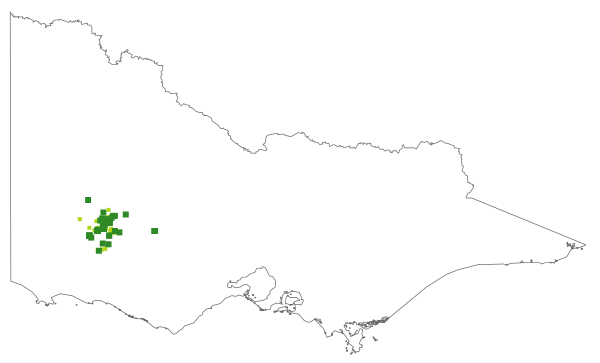 Lepyrodia flexuosa (distribution map)
