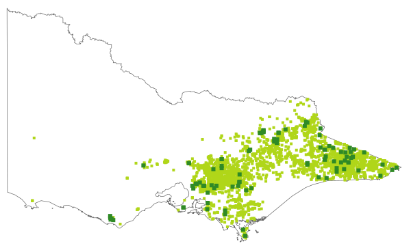 Polyscias sambucifolia (distribution map)