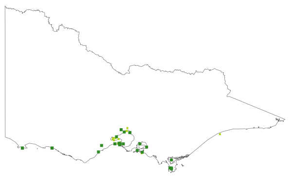 Heterozostera tasmanica (distribution map)