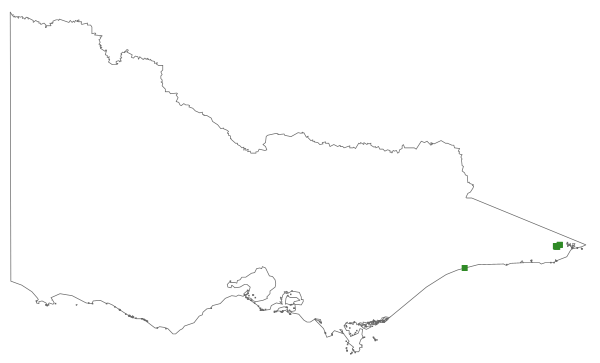 Callistemon kenmorrisonii (distribution map)