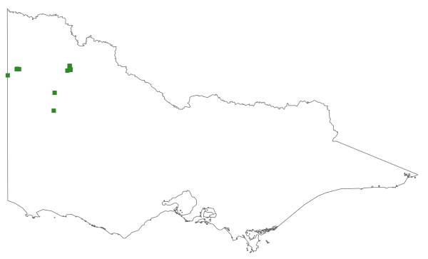 Microcybe pauciflora (distribution map)