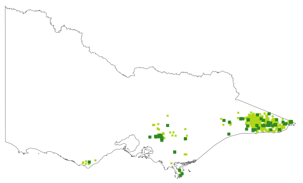 Sticherus lobatus (distribution map)