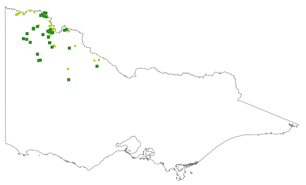 Roepera similis (distribution map)
