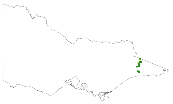 Phebalium glandulosum subsp. riparium (distribution map)