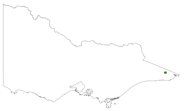 Daviesia wyattiana (distribution map)