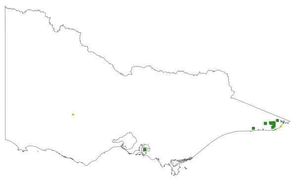 Thelymitra improcera (distribution map)