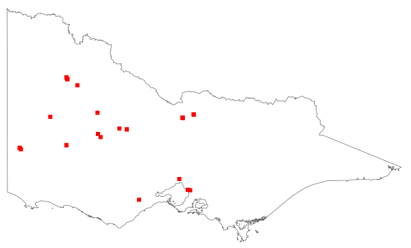 Puccinellia ciliata (distribution map)