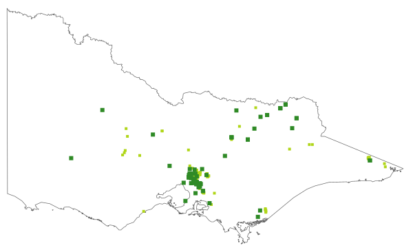 Caladenia praecox (distribution map)