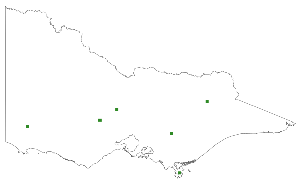 Bryum crassum (distribution map)
