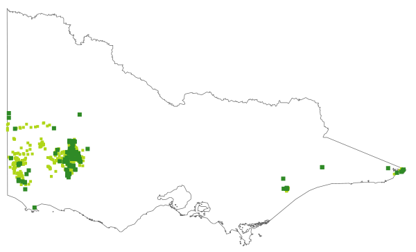 Styphelia adscendens (distribution map)