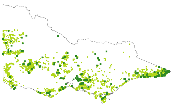 Cassytha glabella (distribution map)
